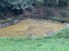 鷲宮神社の庭園