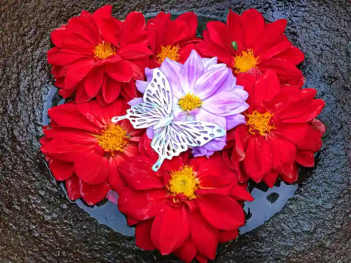 真言宗 善通寺派 薬王寺(香川県)