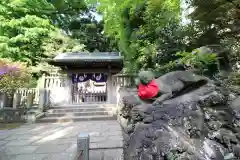 根津神社の狛犬