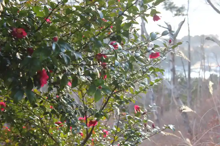 愛宕神社の自然