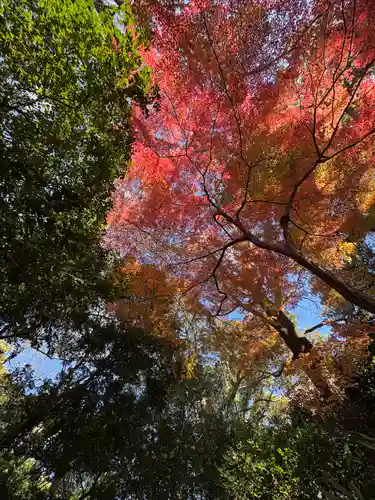 熱田神宮(愛知県)