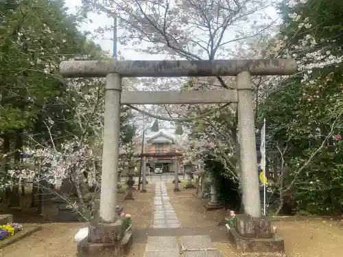 椿ノ海　水神社の{uncategorized: "未分類", other: "その他", undefined: "問題あり", building: "その他建物", grave: "お墓", sacred_gate: "鳥居", guardian: "狛犬", statue: "像", buddha: "仏像", history: "歴史", nature: "自然", garden: "庭園", animal: "動物", pagoda: "塔", temizu: "手水舎", mountain_gate: "山門・神門", sanctuary: "本殿・本堂", subordinate: "末社・摂社", art: "芸術", scenery: "景色", jizo: "地蔵", ema: "絵馬", goshuin: "御朱印", omikuji: "おみくじ", items: "授与品その他", amulet: "お守り", goshuincho: "御朱印帳", eats: "食事", festival: "お祭り", votive_dance: "神楽", shichigosan: "七五三参", wedding: "結婚式", experience: "体験その他", initially: "初詣", around: "周辺", anti_infection: "感染症対策"}