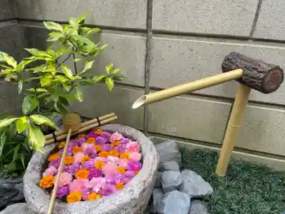 妙櫻寺のその他建物