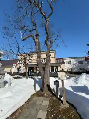 空知稲荷神社(空知神社)の{uncategorized: "未分類", other: "その他", undefined: "問題あり", building: "その他建物", grave: "お墓", sacred_gate: "鳥居", guardian: "狛犬", statue: "像", buddha: "仏像", history: "歴史", nature: "自然", garden: "庭園", animal: "動物", pagoda: "塔", temizu: "手水舎", mountain_gate: "山門・神門", sanctuary: "本殿・本堂", subordinate: "末社・摂社", art: "芸術", scenery: "景色", jizo: "地蔵", ema: "絵馬", goshuin: "御朱印", omikuji: "おみくじ", items: "授与品その他", amulet: "お守り", goshuincho: "御朱印帳", eats: "食事", festival: "お祭り", votive_dance: "神楽", shichigosan: "七五三参", wedding: "結婚式", experience: "体験その他", initially: "初詣", around: "周辺", anti_infection: "感染症対策"}