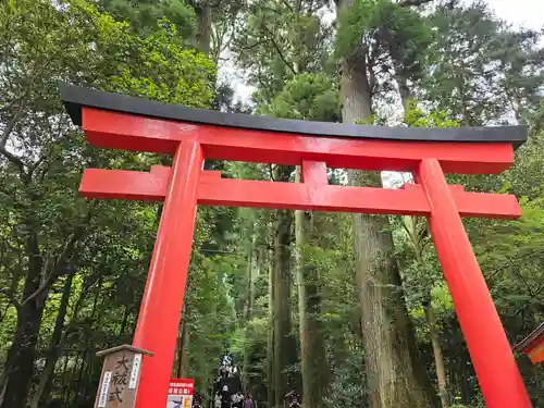 箱根神社の鳥居