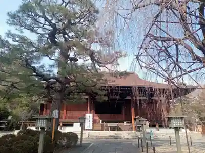 大報恩寺（千本釈迦堂）の本殿・本堂