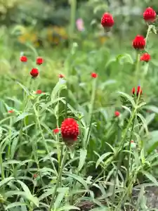 木舟山 順教寺(広島県)(2021年09月21日(火) 12時36分53秒投稿)