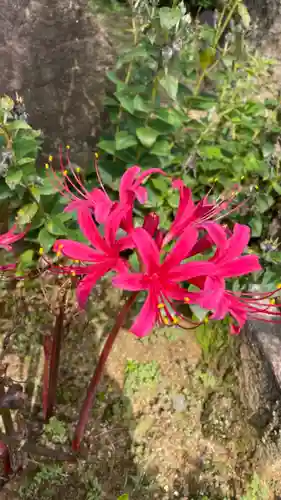 當麻寺 奥院の自然