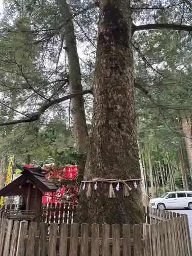 椿大神社(三重県)