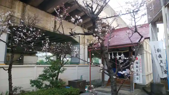 梅島天満宮の自然