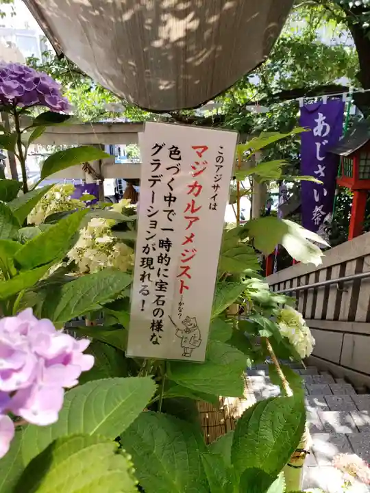 十番稲荷神社の自然