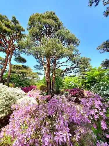 開成山大神宮(福島県)