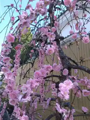 養泉寺(三重県)