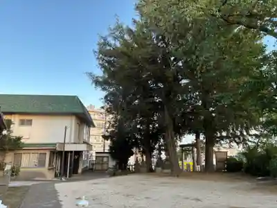 矢切神社(千葉県)