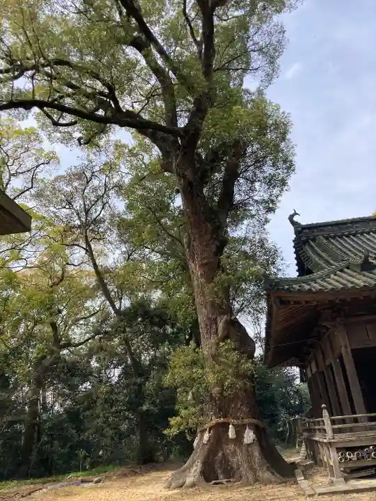 伊豫神社(愛媛県)