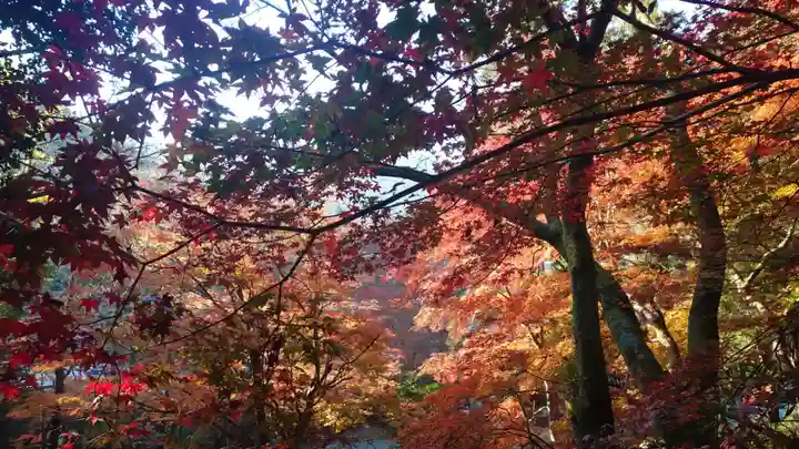 室生寺(奈良県)