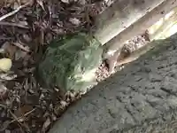 日枝神社のその他建物