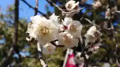 唐澤山神社(栃木県)