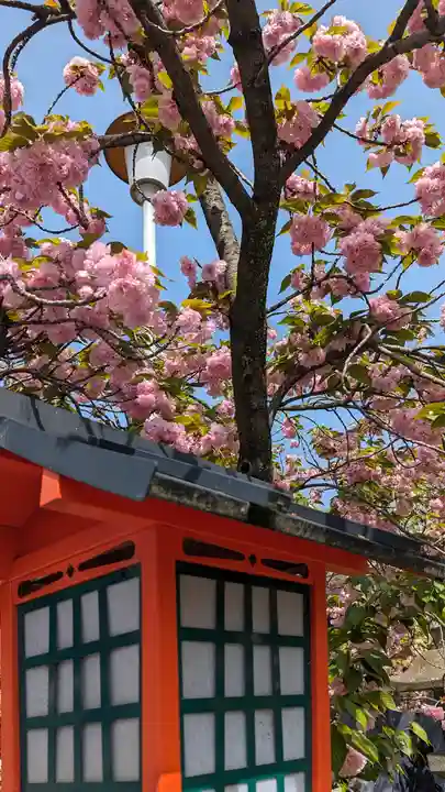 六孫王神社(京都府)