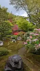 華厳寺（鈴虫寺）(京都府)