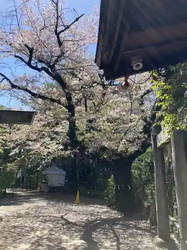牛天神北野神社(東京都)