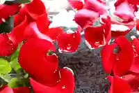 三津厳島神社の手水舎