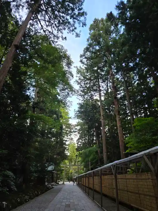 彌彦神社(新潟県)