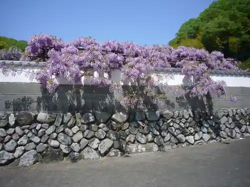 長泉寺の景色