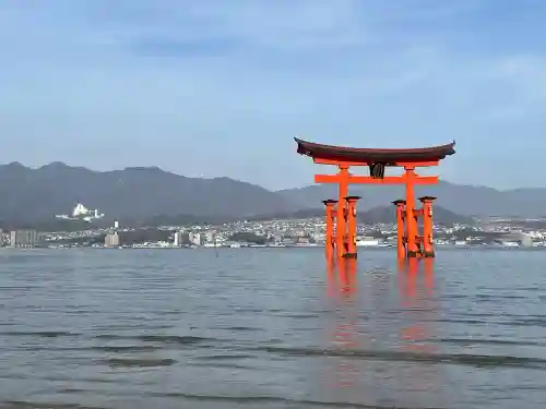 厳島神社の{uncategorized: "未分類", other: "その他", undefined: "問題あり", building: "その他建物", grave: "お墓", sacred_gate: "鳥居", guardian: "狛犬", statue: "像", buddha: "仏像", history: "歴史", nature: "自然", garden: "庭園", animal: "動物", pagoda: "塔", temizu: "手水舎", mountain_gate: "山門・神門", sanctuary: "本殿・本堂", subordinate: "末社・摂社", art: "芸術", scenery: "景色", jizo: "地蔵", ema: "絵馬", goshuin: "御朱印", omikuji: "おみくじ", items: "授与品その他", amulet: "お守り", goshuincho: "御朱印帳", eats: "食事", festival: "お祭り", votive_dance: "神楽", shichigosan: "七五三参", wedding: "結婚式", experience: "体験その他", initially: "初詣", around: "周辺", anti_infection: "感染症対策"}