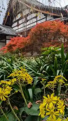 興聖寺(京都府)