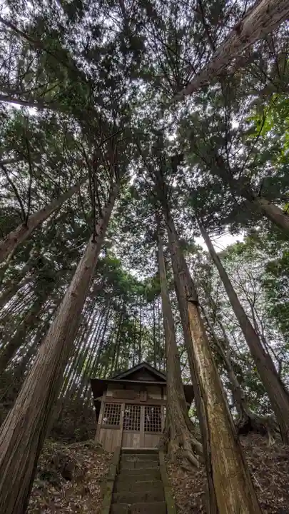 若宮八幡社(東京都)