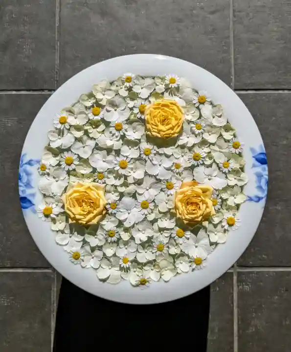 帯廣神社の手水舎