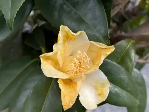 西方山極楽寺(岐阜県)