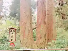 笠森寺の自然