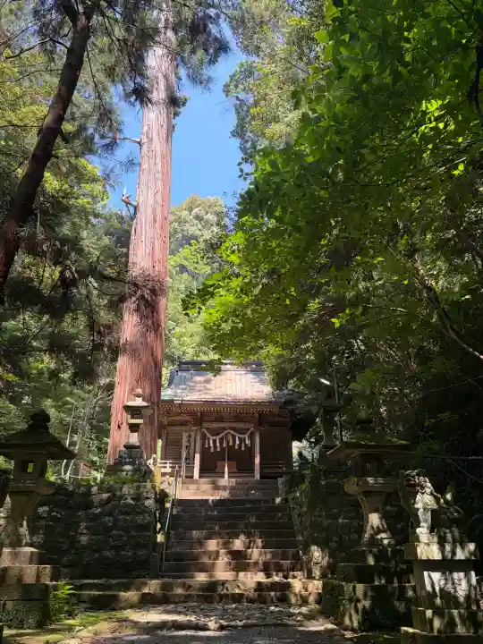 八幡宮來宮神社の{uncategorized: "未分類", other: "その他", undefined: "問題あり", building: "その他建物", grave: "お墓", sacred_gate: "鳥居", guardian: "狛犬", statue: "像", buddha: "仏像", history: "歴史", nature: "自然", garden: "庭園", animal: "動物", pagoda: "塔", temizu: "手水舎", mountain_gate: "山門・神門", sanctuary: "本殿・本堂", subordinate: "末社・摂社", art: "芸術", scenery: "景色", jizo: "地蔵", ema: "絵馬", goshuin: "御朱印", omikuji: "おみくじ", items: "授与品その他", amulet: "お守り", goshuincho: "御朱印帳", eats: "食事", festival: "お祭り", votive_dance: "神楽", shichigosan: "七五三参", wedding: "結婚式", experience: "体験その他", initially: "初詣", around: "周辺", anti_infection: "感染症対策"}