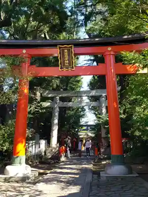 馬橋稲荷神社の鳥居