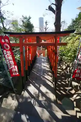 花園稲荷神社の鳥居
