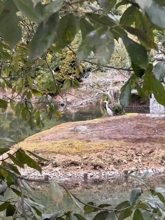 鹿苑寺(金閣寺)の{uncategorized: "未分類", other: "その他", undefined: "問題あり", building: "その他建物", grave: "お墓", sacred_gate: "鳥居", guardian: "狛犬", statue: "像", buddha: "仏像", history: "歴史", nature: "自然", garden: "庭園", animal: "動物", pagoda: "塔", temizu: "手水舎", mountain_gate: "山門・神門", sanctuary: "本殿・本堂", subordinate: "末社・摂社", art: "芸術", scenery: "景色", jizo: "地蔵", ema: "絵馬", goshuin: "御朱印", omikuji: "おみくじ", items: "授与品その他", amulet: "お守り", goshuincho: "御朱印帳", eats: "食事", festival: "お祭り", votive_dance: "神楽", shichigosan: "七五三参", wedding: "結婚式", experience: "体験その他", initially: "初詣", around: "周辺", anti_infection: "感染症対策"}