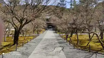 南禅寺のその他建物