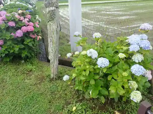 最乗寺（道了尊）(神奈川県)