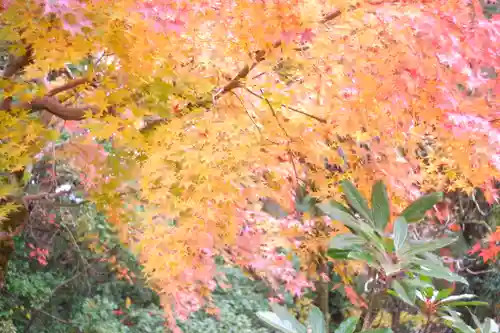 越中一宮 髙瀬神社(富山県)