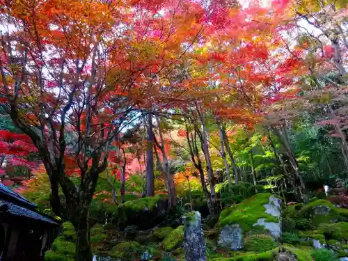 教林坊(滋賀県)
