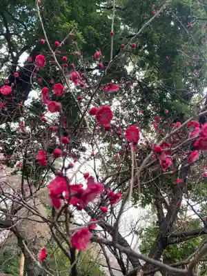 布多天神社(東京都)