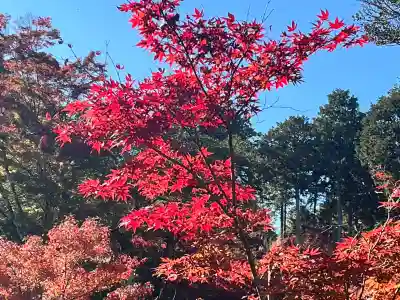 常樂寺(滋賀県)