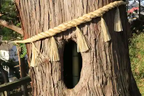 阿久津「田村神社」（郡山市阿久津町）旧社名：伊豆箱根三嶋三社の自然