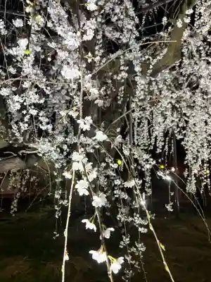 八幡社の{uncategorized: "未分類", other: "その他", undefined: "問題あり", building: "その他建物", grave: "お墓", sacred_gate: "鳥居", guardian: "狛犬", statue: "像", buddha: "仏像", history: "歴史", nature: "自然", garden: "庭園", animal: "動物", pagoda: "塔", temizu: "手水舎", mountain_gate: "山門・神門", sanctuary: "本殿・本堂", subordinate: "末社・摂社", art: "芸術", scenery: "景色", jizo: "地蔵", ema: "絵馬", goshuin: "御朱印", omikuji: "おみくじ", items: "授与品その他", amulet: "お守り", goshuincho: "御朱印帳", eats: "食事", festival: "お祭り", votive_dance: "神楽", shichigosan: "七五三参", wedding: "結婚式", experience: "体験その他", initially: "初詣", around: "周辺", anti_infection: "感染症対策"}