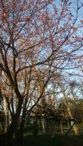 錦山天満宮の自然