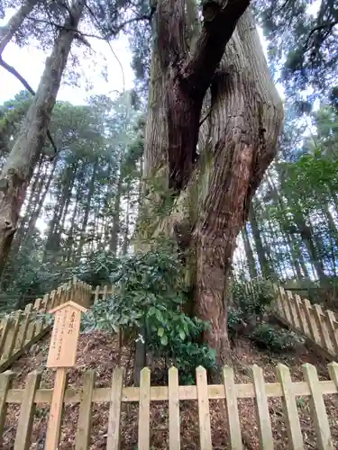 幣立神宮(熊本県)
