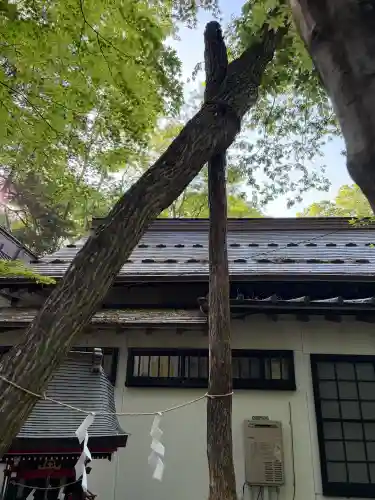 新屋山神社(山梨県)