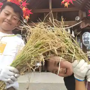 七重浜海津見神社の自然(2023年09月19日(火) 08時42分29秒投稿)